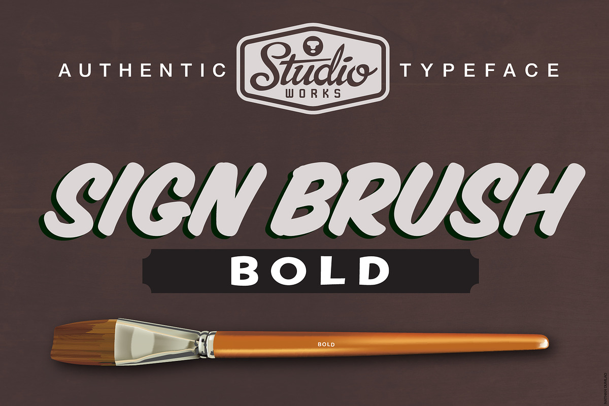 Sign Brush Bold | Display Type, a Script Font by StudioWorks (Photo 1 of 8)