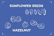 NUTS LINE ART SET (15+ elements), a Food Illustration by Bonfloret Studio (Thumbnail 4 of 10)