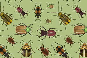 Set Of Beetle Illustrations Pattern