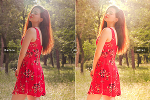 Sunny Day Pro Lightroom Presets