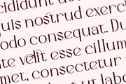 Gavelle -  Serif Typeface Font, a Serif Font by Rishsketch (Thumbnail 10 of 15)