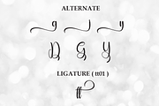 Glittering | Script Font, a Handwritten Font by Scratchones (Thumbnail 8 of 9)