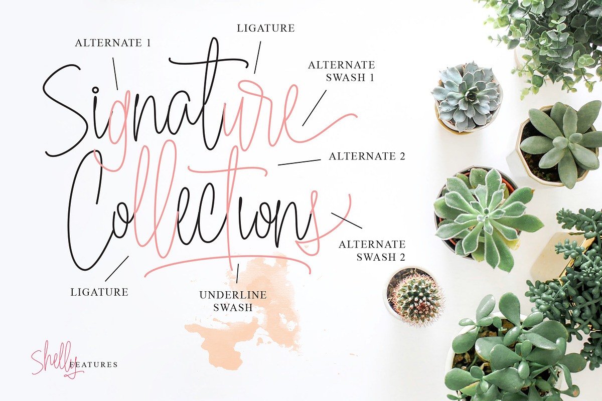 Shelly Signature Font preview 3