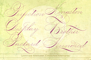 Mercy, a Script Font by Misprinted Type (Thumbnail 6 of 8)