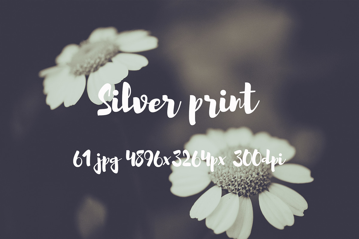 Silver print pack, a Templates & Theme by ApertureVintage (Photo 7 of 29)