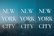 Vyriy font family, a Serif Font by vlad.berla (Thumbnail 4 of 8)