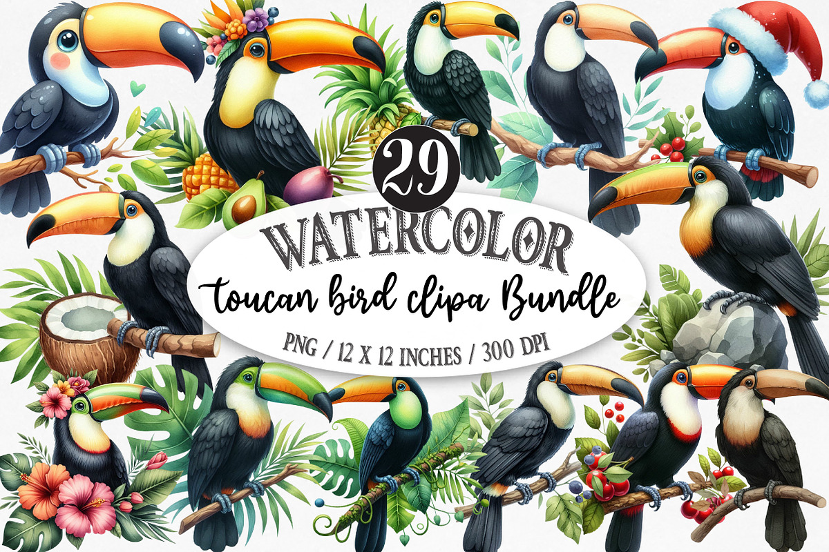 Watercolor toucan bird clipart, an Illustration by Designking (Photo 1 of 5)