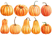 Harvest Thanksgiving fall clipart, a Decorative Illustration by Hanna Hryharenka (Thumbnail 10 of 20)
