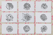 50 Peony Flower Vector Illustrations, an Illustration by Inkwell Supply Co (Thumbnail 7 of 20)