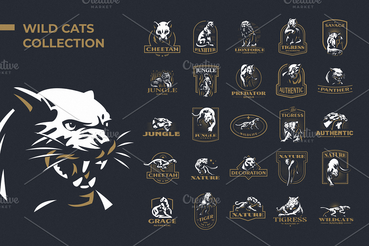 Collection of wild cats, an Animal Illustration by Masterlevsha (Photo 1 of 2)