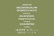 Chalif Typeface, a Sans Serif Font by ViactionType (Thumbnail 4 of 10)