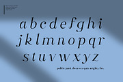 Along Serif BSC Font Family, a Serif Font by Ryul Davidson (Thumbnail 7 of 13)