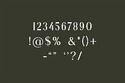 Ambrotype Modern Sans Serif Font, a Sans Serif Font by UICreative (Thumbnail 6 of 12)