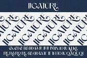Beli, a Sans Serif Font by zaaintype (Thumbnail 2 of 12)