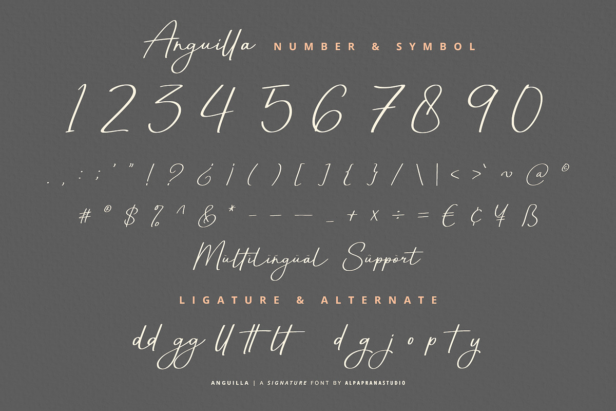 Anguilla - Signature Font, a Script Font by Alpaprana (Photo 12 of 13)