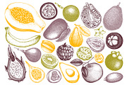 Vintage Tropical Fruit Sketches, a Food Illustration by Yevheniia (Thumbnail 2 of 8)