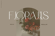 Avantgardist Modern Ligature Font, a Sans Serif Font by Laras Wonderland (Thumbnail 16 of 18)