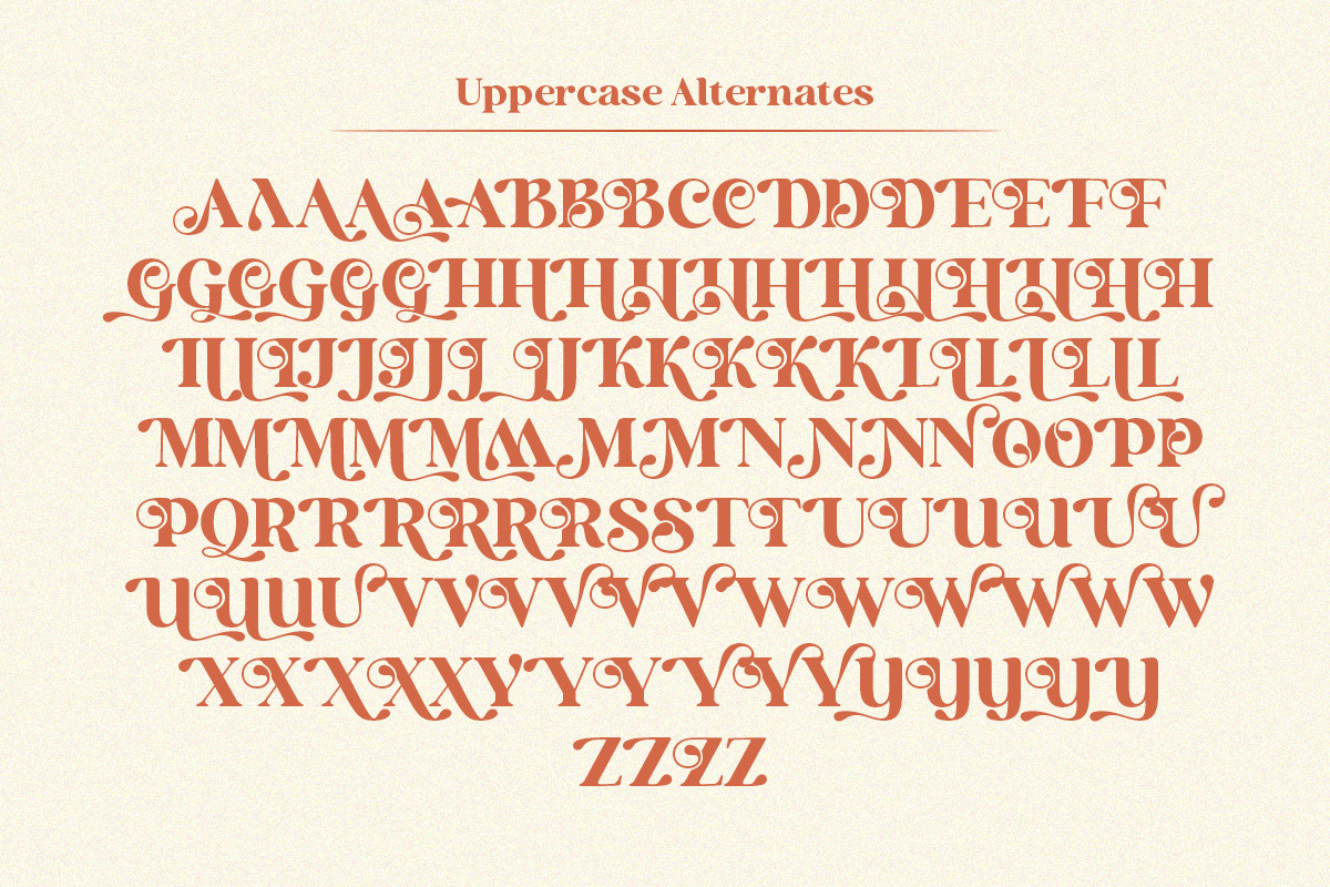 Holen Vintage, a Serif Font by Attract Studio (Photo 22 of 25)