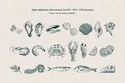 Seafood illustrations, a Food Illustration by Camille Natton (Thumbnail 2 of 8)