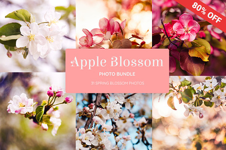 Apple Blossom Photo Bundle