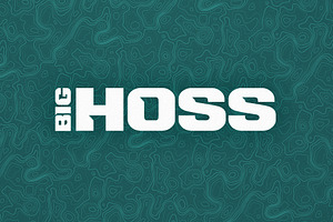 Big Hoss Display Font