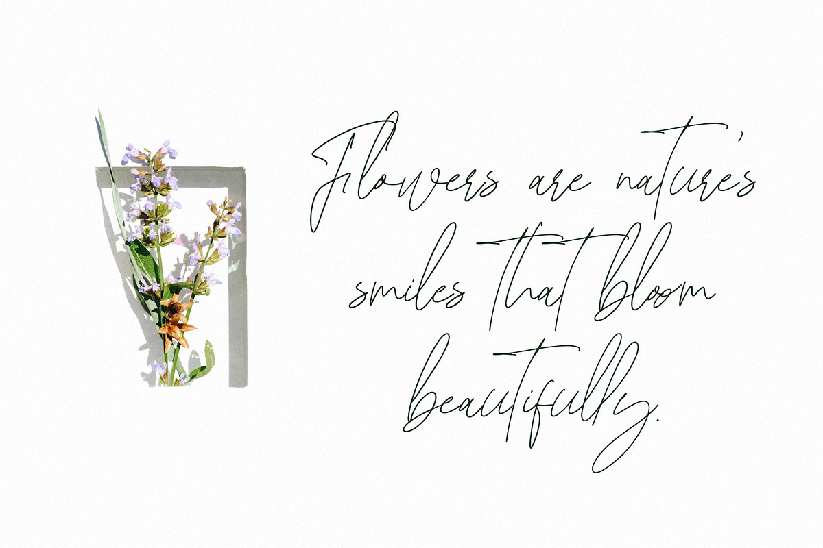 Bhaqellie, a Script Font by Goresan Studio (Photo 9 of 15)