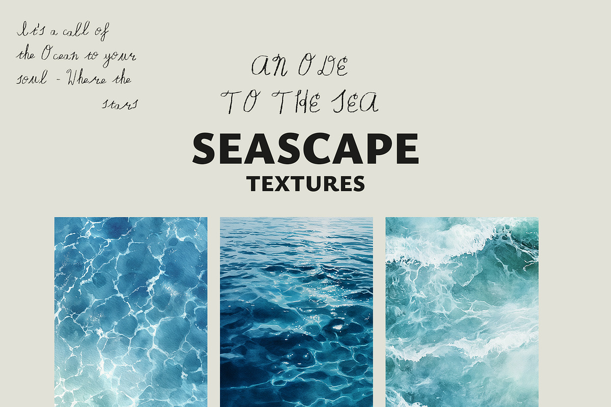SEASCAPE Line, Seashells & Textures, an Object Graphic by Lana Elanor (Photo 10 of 11)