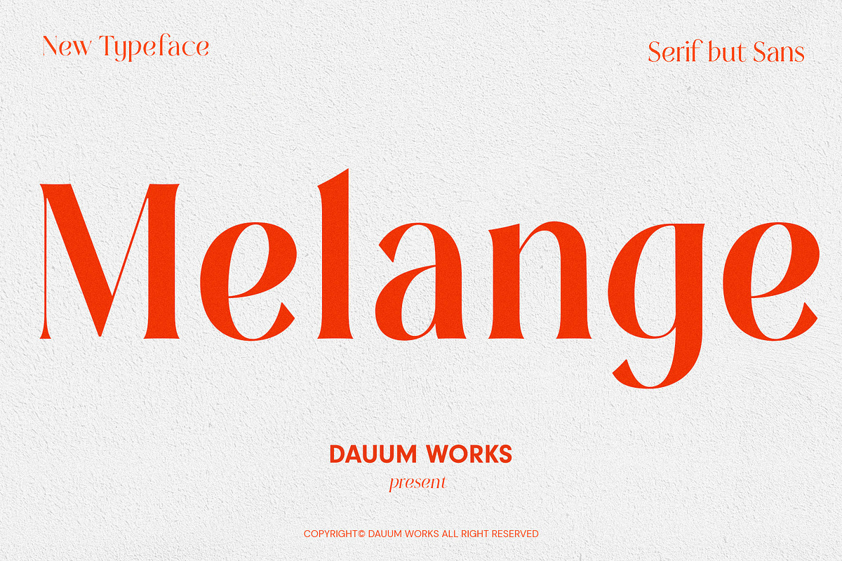 Melange - Serif Font Family, a Serif Font by Dauum Works (Photo 1 of 14)