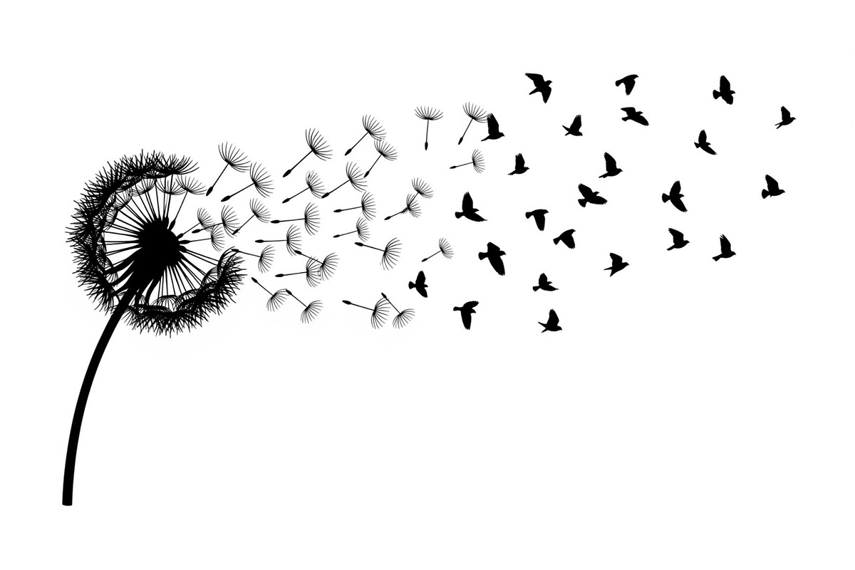 Dandelion Blow Silhouette Bundle, an Illustration by yasushie (Photo 2 of 31)