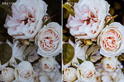 Floral Lightroom Presets, a Layer Style Add-On by Rapita Photography© (Thumbnail 5 of 11)