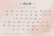 Cherish - Script Font, a Script Font by Alpaprana (Thumbnail 12 of 13)