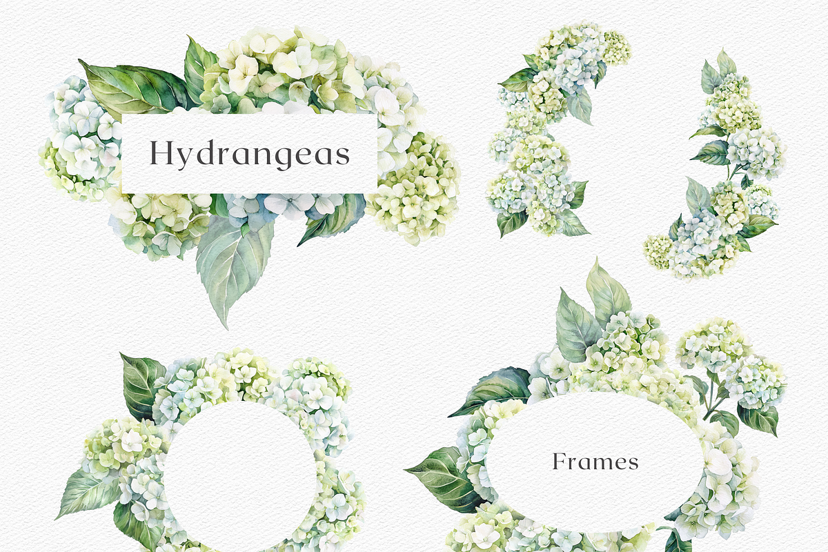 Hydrangeas Dreaming - Watercolor, a Decorative Illustration by ThaismotaCreativeCo (Photo 7 of 9)