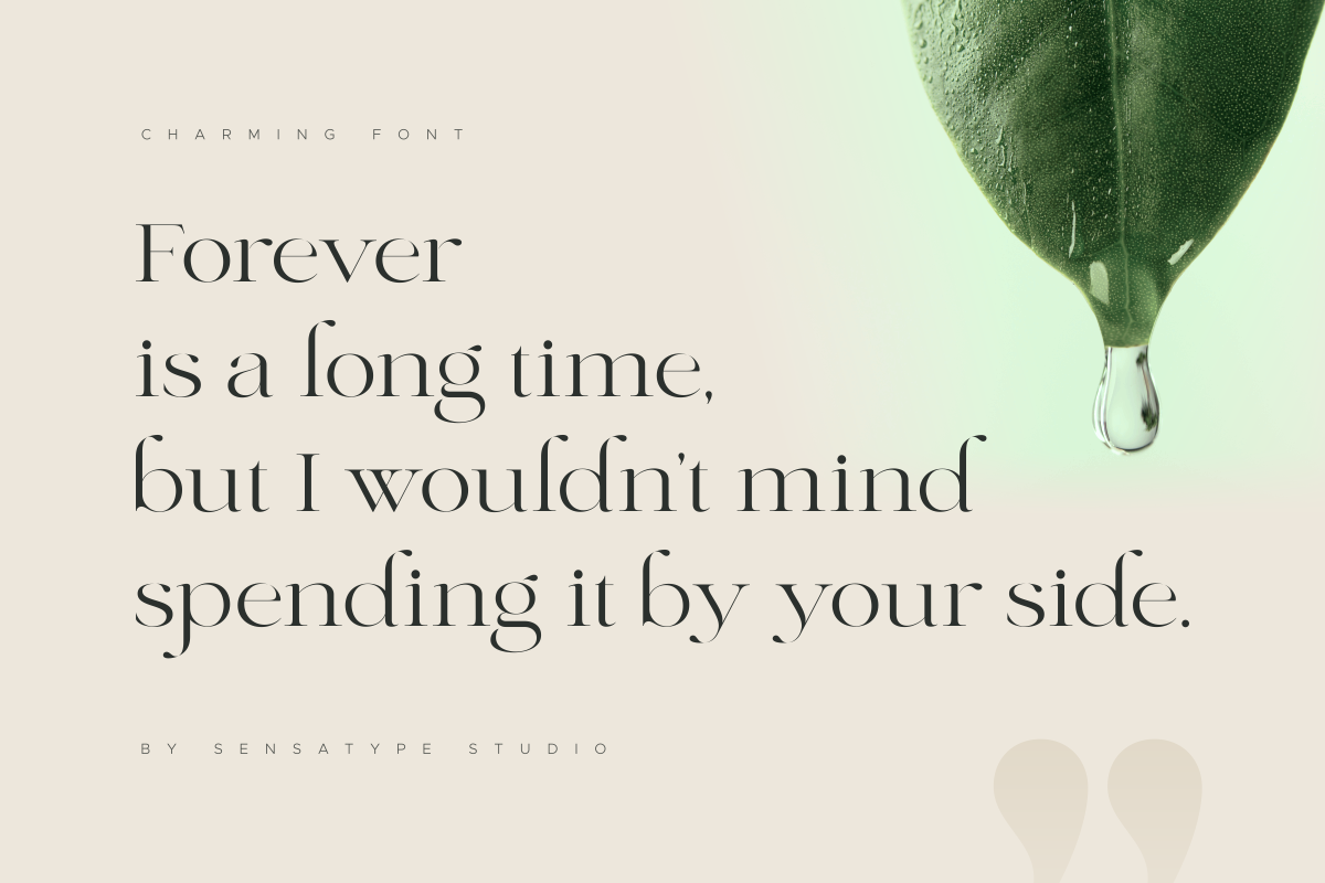 Charming - Classy & Decorative Font, a Serif Font by Sensatype (Photo 9 of 21)