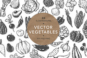 Vector Vegetables. Illustrations., a Food Illustration by Olga Olmix (Thumbnail 1 of 8)