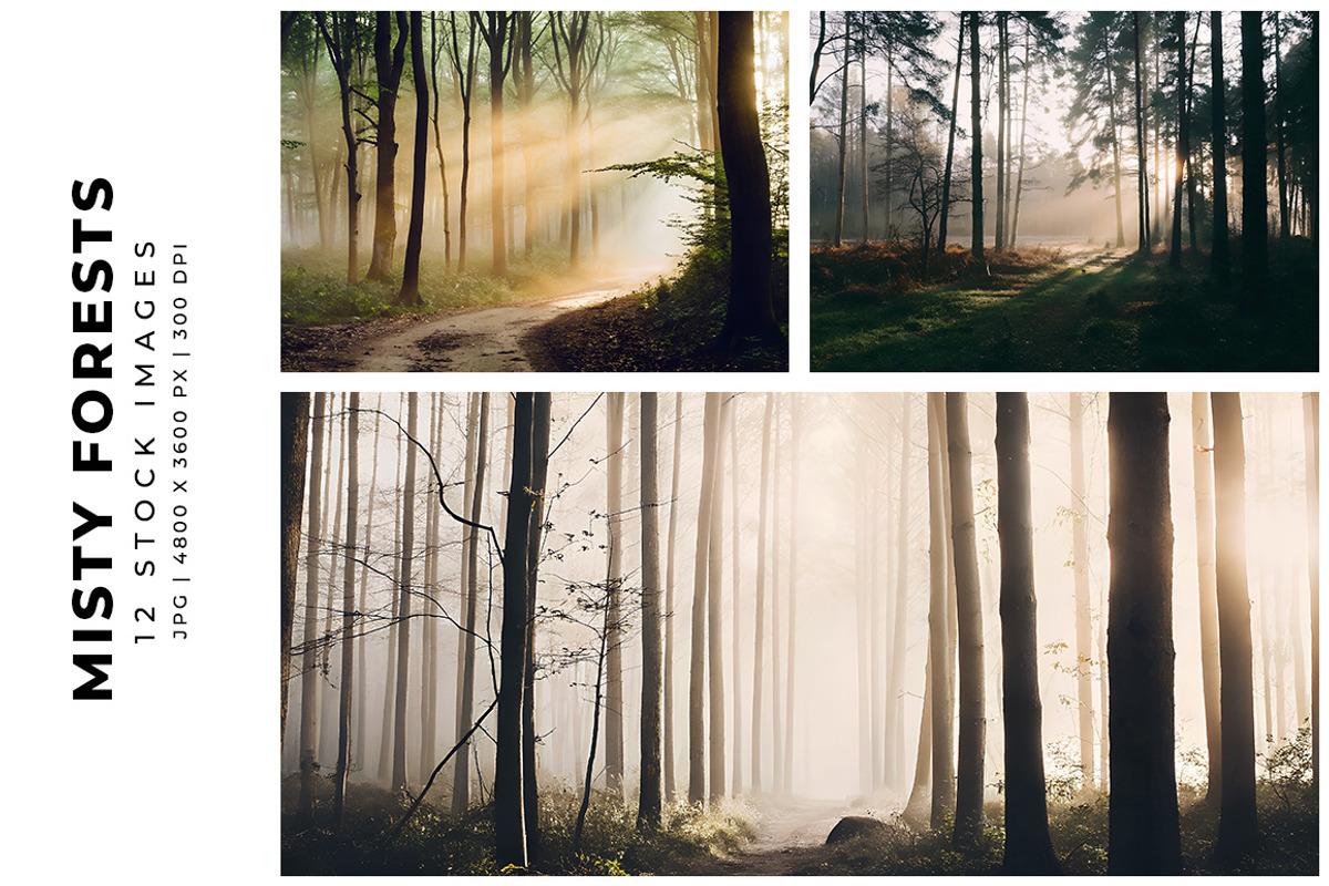Misty Forests, a Nature Photo by Digital Art Creations (Photo 2 of 5)