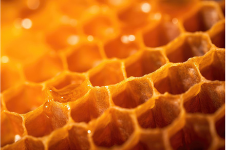 macro shot of beeswax texture in, a Background Photo by Sergey Kotenev