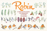 watercolor robin bird clipart, an Illustration by Art & Things (Thumbnail 10 of 10)