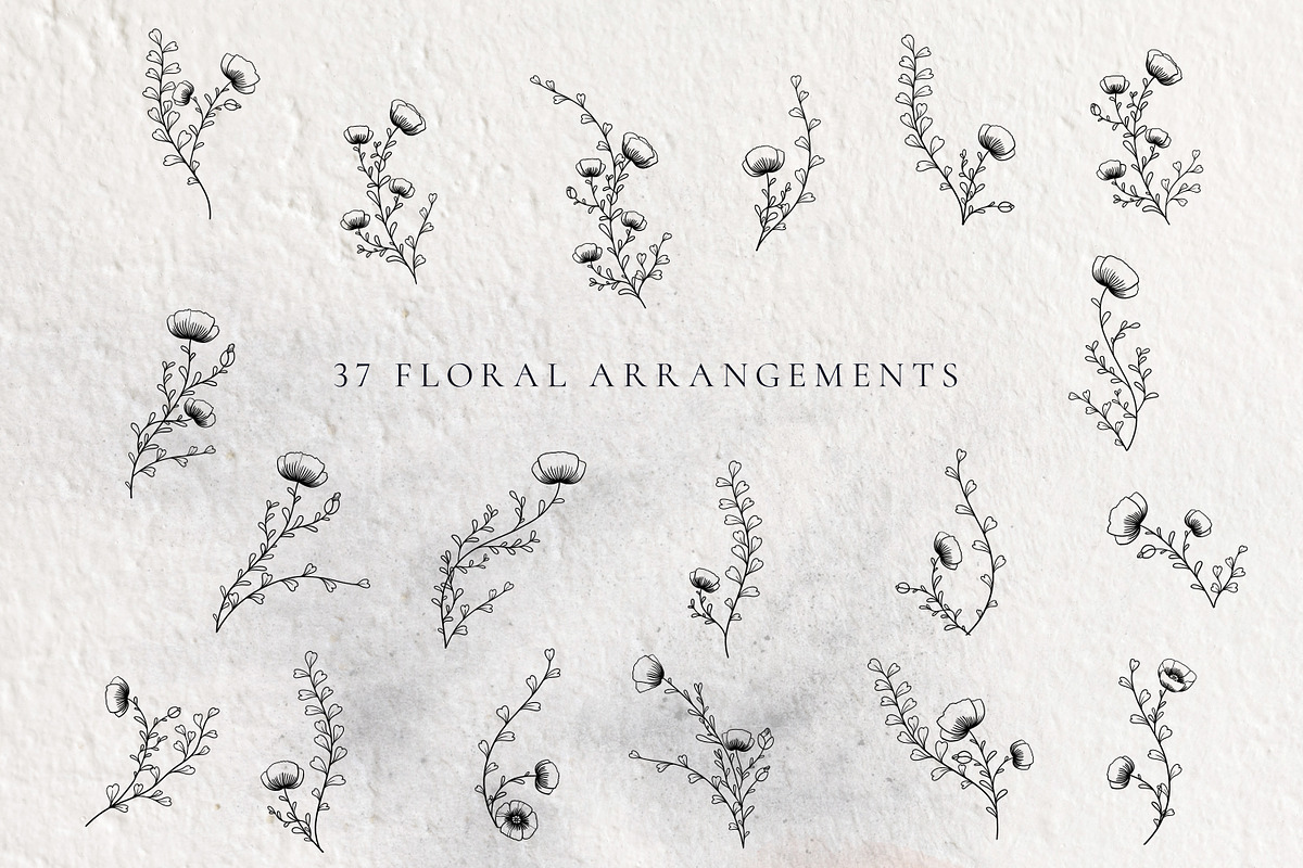 NICETY Alphabet & Graphic Collection, a Decorative Illustration by Olga Begak Art & Design (Photo 4 of 12)