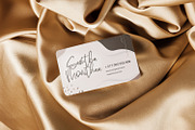 Sabina Angellica - Script Font, a Script Font by StringLabs (Thumbnail 4 of 11)