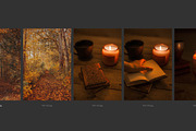 Cozy FALL Season (45 images), a Nature Photo by studiottander (Thumbnail 8 of 9)
