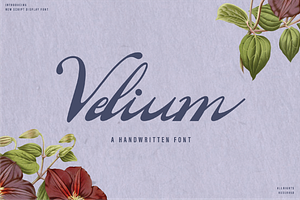 Velium - A Handwritten Script Font