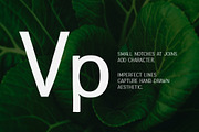 Greenstyle Great Vibes Casual Font, a Sans Serif Font by Parker Creative (Thumbnail 2 of 9)