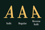 CS Vincero – Contemporary Font, a Serif Font by Craft Supply Co. (Thumbnail 4 of 8)