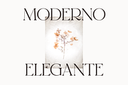 Reglarik | Modern Serif, a Serif Font by Denustudios (Thumbnail 4 of 10)