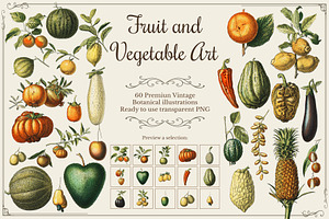 Fruit and Vegetable Art Collection