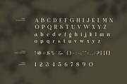 Bimbe Elegant Serif Font, a Serif Font by Graphicxell (Thumbnail 7 of 8)