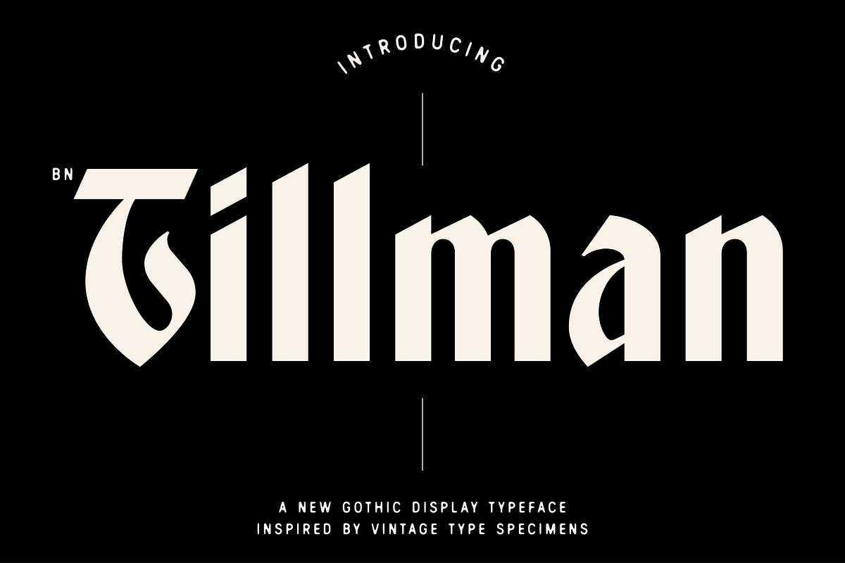 BN Tillman Gothic Display Typeface, a Serif Font by Bnick (Photo 1 of 12)
