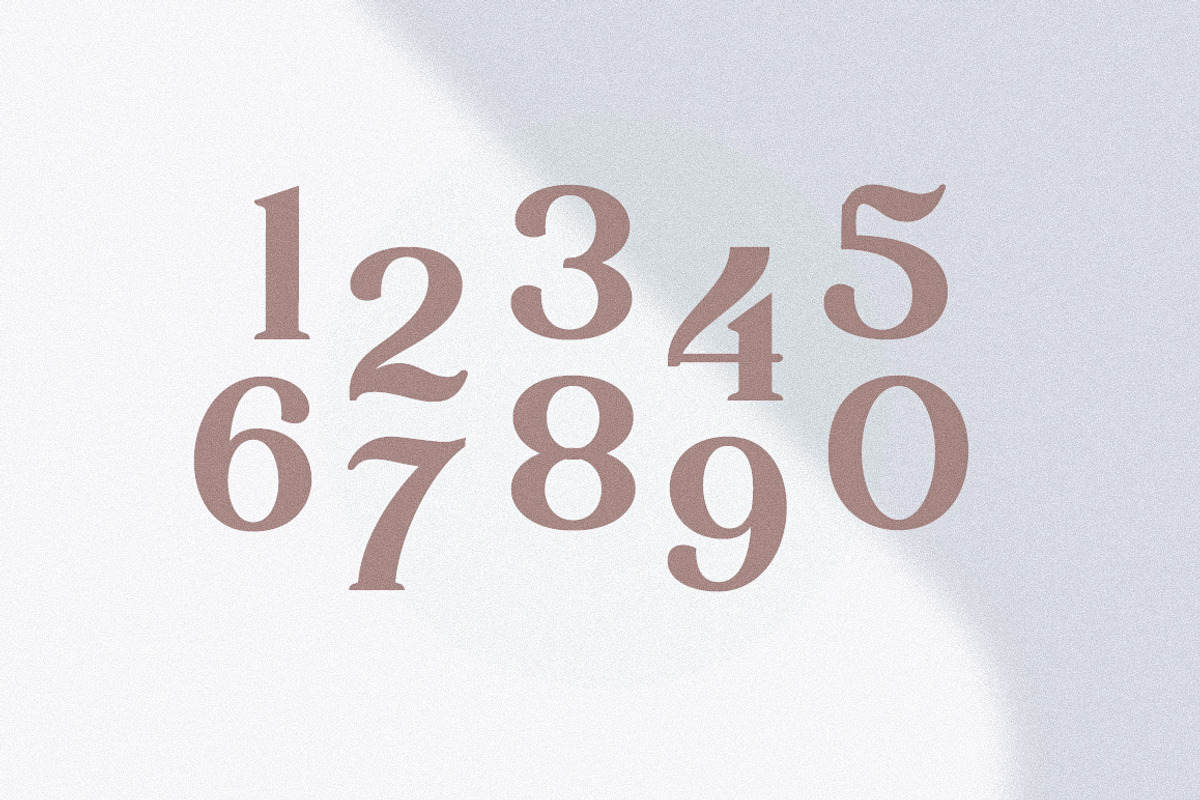 Baltster, a Serif Font by Picatype Studio (Photo 10 of 17)