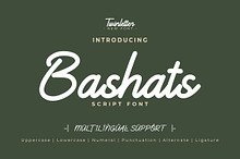 Bashats - Script Monoline Font