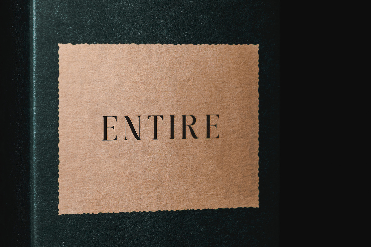 Mondeba Modern Serif Font, a Serif Font by Heinzel Std (Photo 11 of 13)